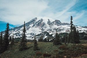 a large snow-covered mountain with evergreen trees in the foreground, Mount Rainier.