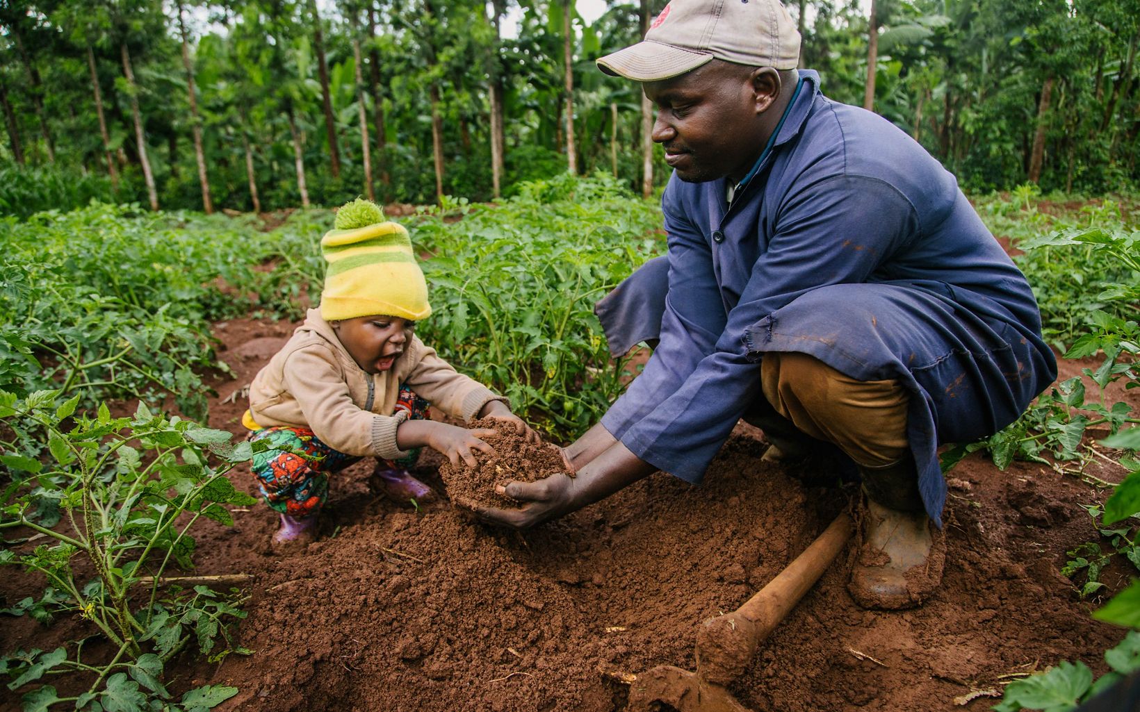 Man and child playing with dirt in a field of crops.