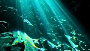 Rayos de luz atraviesan el silencio de un cenote, iluminando su misterio ancestral y revelando la conexión entre el mundo exterior y las profundidades sagradas del agua