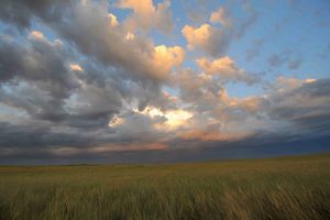 Stormy Sunrise over Mongolian Grasslands