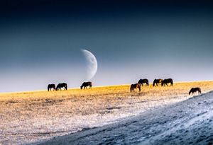 Moon at sunrise, Mongolia.