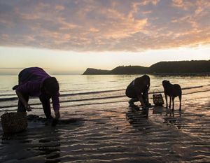 Mujeres mariscando en la orilla de una playa al atardecer.