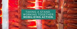 Image says "Working together, taking a stand, mobilizing action."