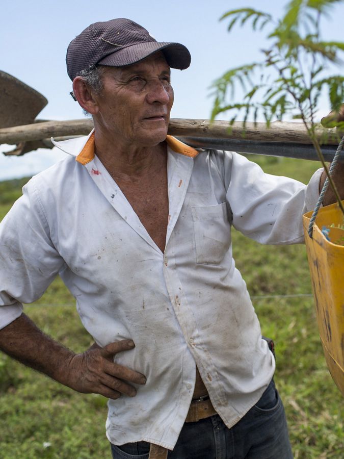 an older man holds tree planting equipment