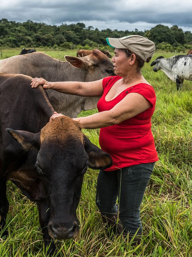 a woman in a red shirt has her hands placed on her cows
