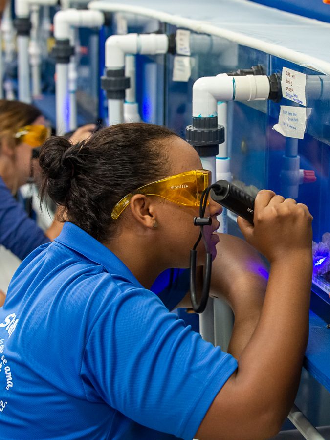 a woman shines a UV light into a fish tank in a lab
