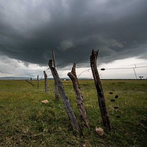 three posts wrapped in wire fencing against stormy sky