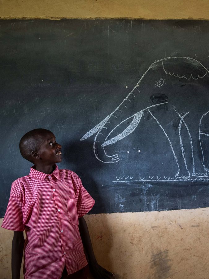 a young child looks at chalk drawing of elephant