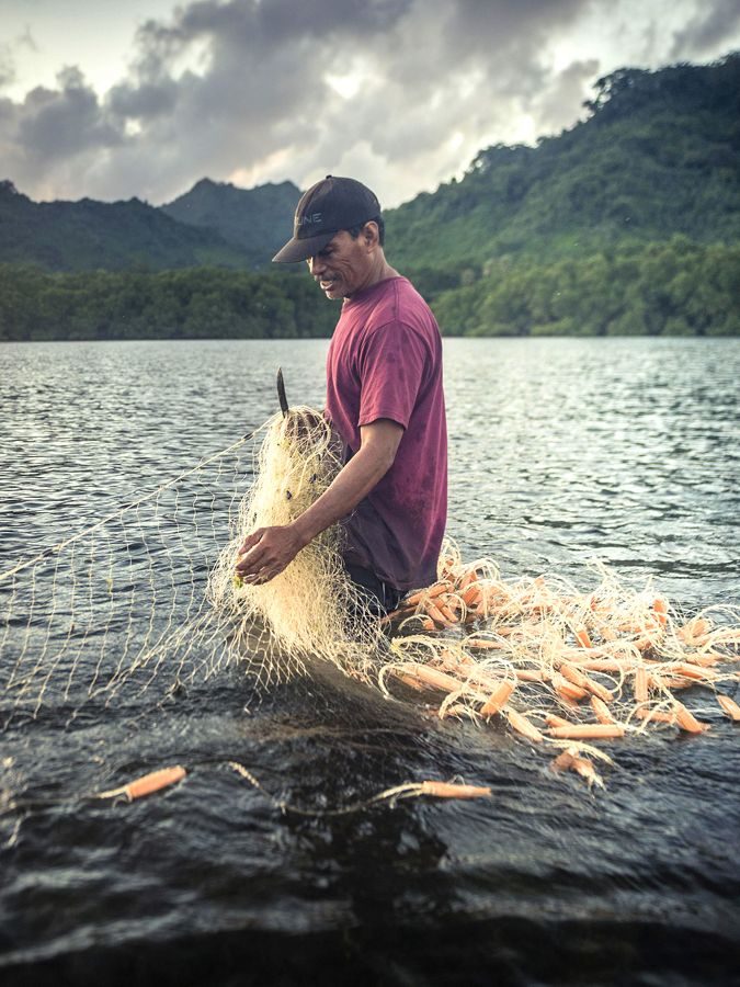 a man stands in water with fishing net