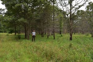 Natasha Whetzel stands in the distance in a field of grass.