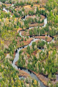 A Bird's-Eye View of the Two Hearted River
