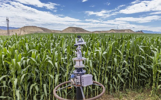 An irrigation device in front of a field of young corn on Meaker Farm in Colorado.