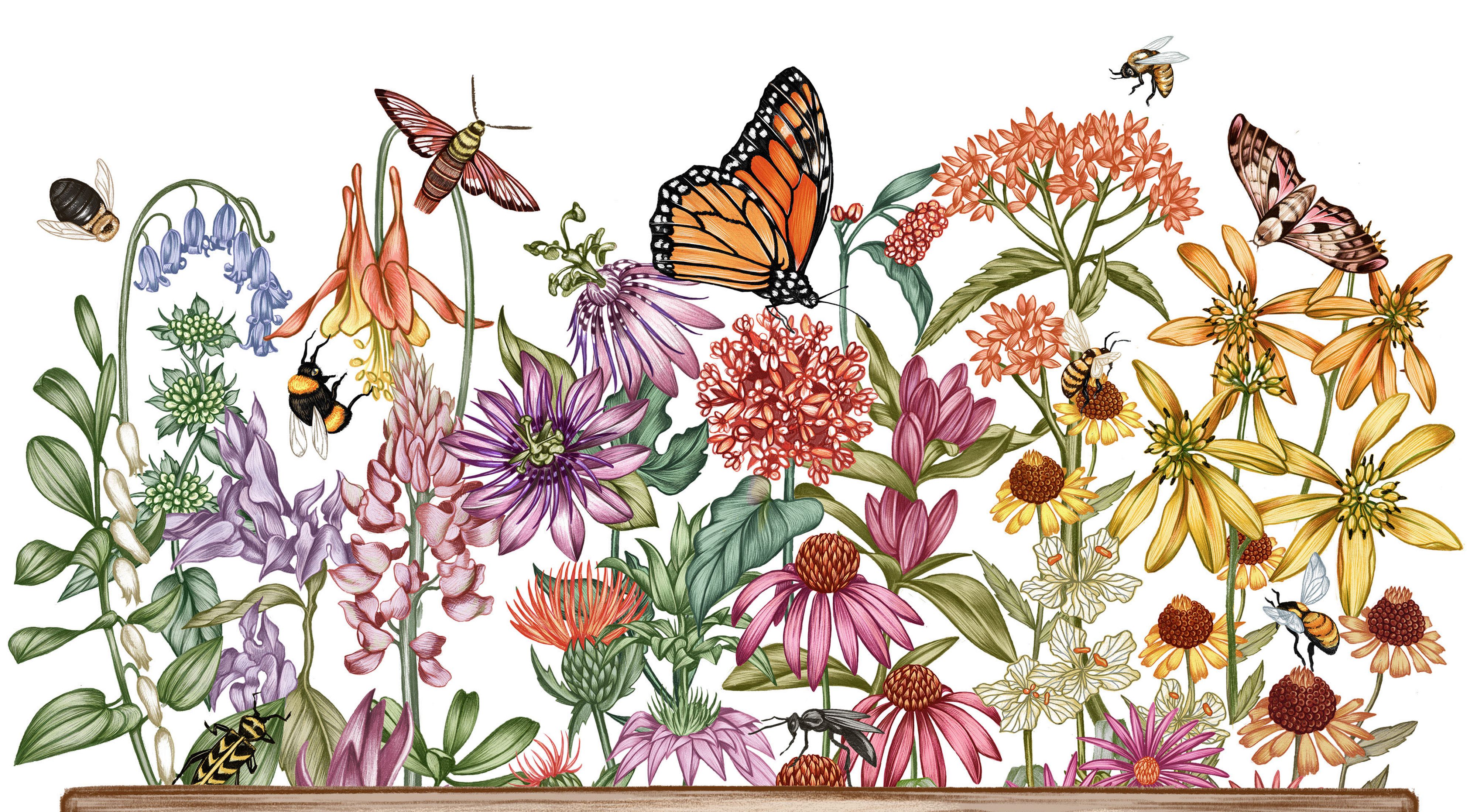 The fates of pollinators and their host plants are intertwined. Taking care of diverse plants gives a diverse set of pollinators a chance to thrive.