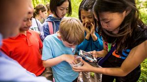 Kids gather around a specimen collected from a creek