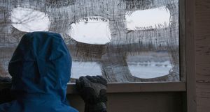 A person looks out through the gauzy cover of a bird blind.