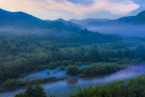 A river flows through hillside trees and other plant life.