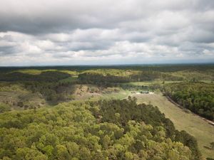 Aerial view of lush green trees sprawling throughout the J.T. Nickel Preserve.
