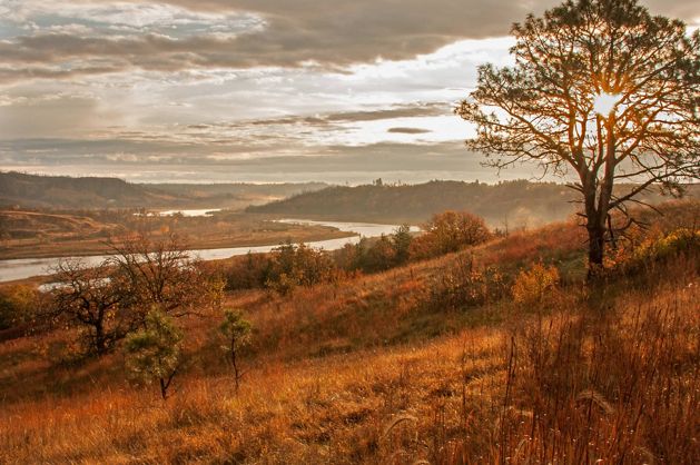 Fall foliage and grasses are seen adjacent to a flowing river.