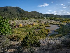 View of a wetland area with green vegetation and a large hill in the background.