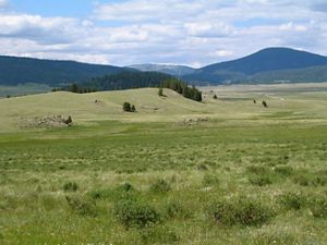 Landscape view of a vast green plain with forested mountains in the distance.