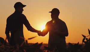Farmers shaking hands in a field at sunset.