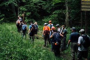 A group of hikers with their backs to the camera hiking on a trail thorugh green shrubbery.