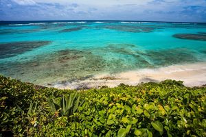 The Coastline along an island in St. Vincent and the Grenadines.
