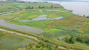 An aerial view of the wetlands of Pickerel Creek Wildlife Area next to the shoreline of Sandusky Bay.