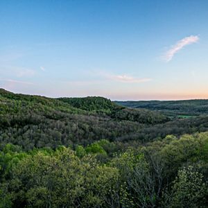 An expanse of rolling hills covered in vegetation at the Edge of Appalachia Preserve System.