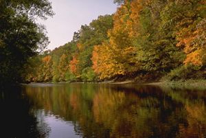 Trees with fall foliage line a calm river.