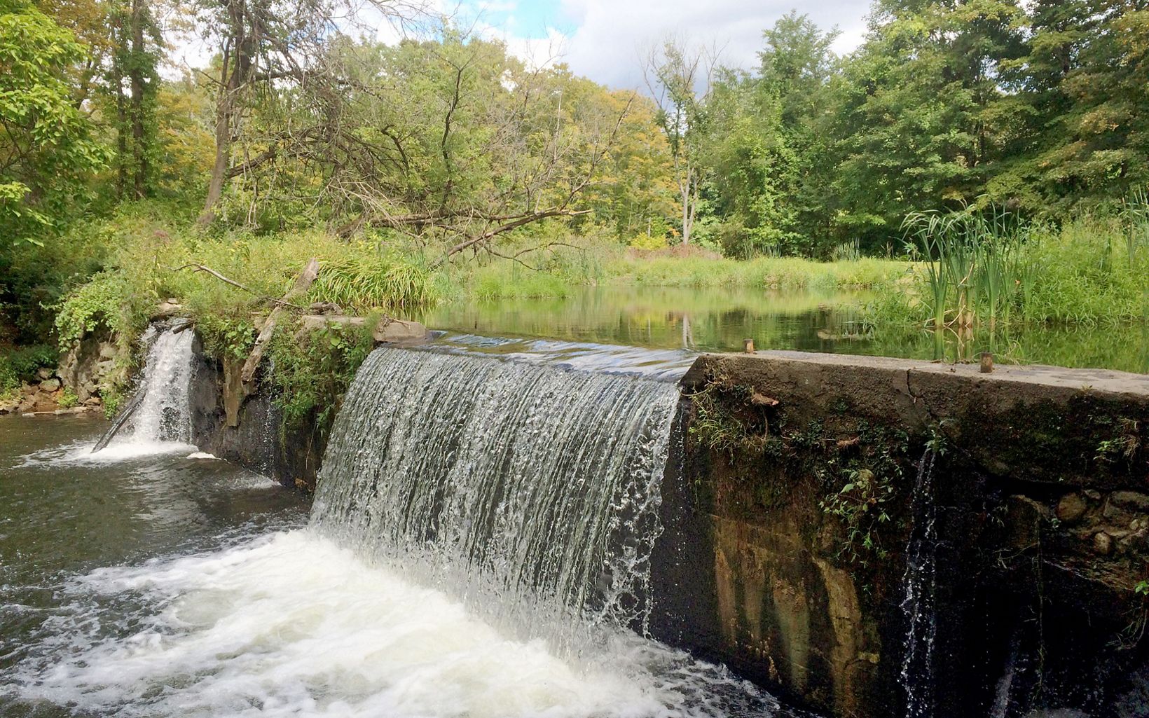 
                
                  Old Papermill Dam, Summer 2018 Obsolete dams, like the Old Papermill Dam in Connecticut, can often cause harm to the environment.
                  © Sally Harold/The Nature Conservancy
                
              