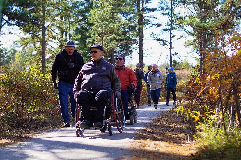 A man using a wheelchairs leads a group of people down a flat path in the woods.