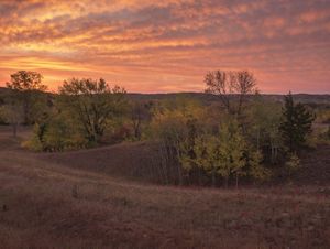 Pink sunset over grasslands hills and trees.