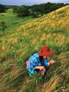 A person in a hat crouches on a grassy hill looking closely at a plant.