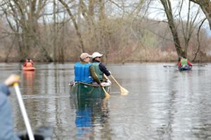 Two people paddling in a river surrounded by bare trees. 