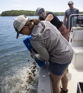 Two women dump oysters out of a crate into the water from a boat.