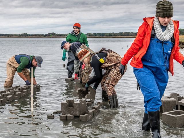 A group of people build oyster reefs in shallow water. They are bent over placing large concrete oyster castle blocks in interlocking arrays. Low heavy clouds hangs over the gently rippling water.