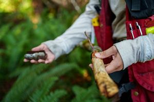 Person holding a wood sample in forest.