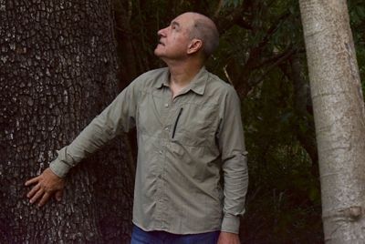 hombre tocado el tronco de un arbol.