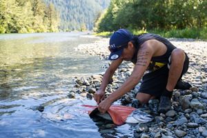Person cleaning a salmon by a river.