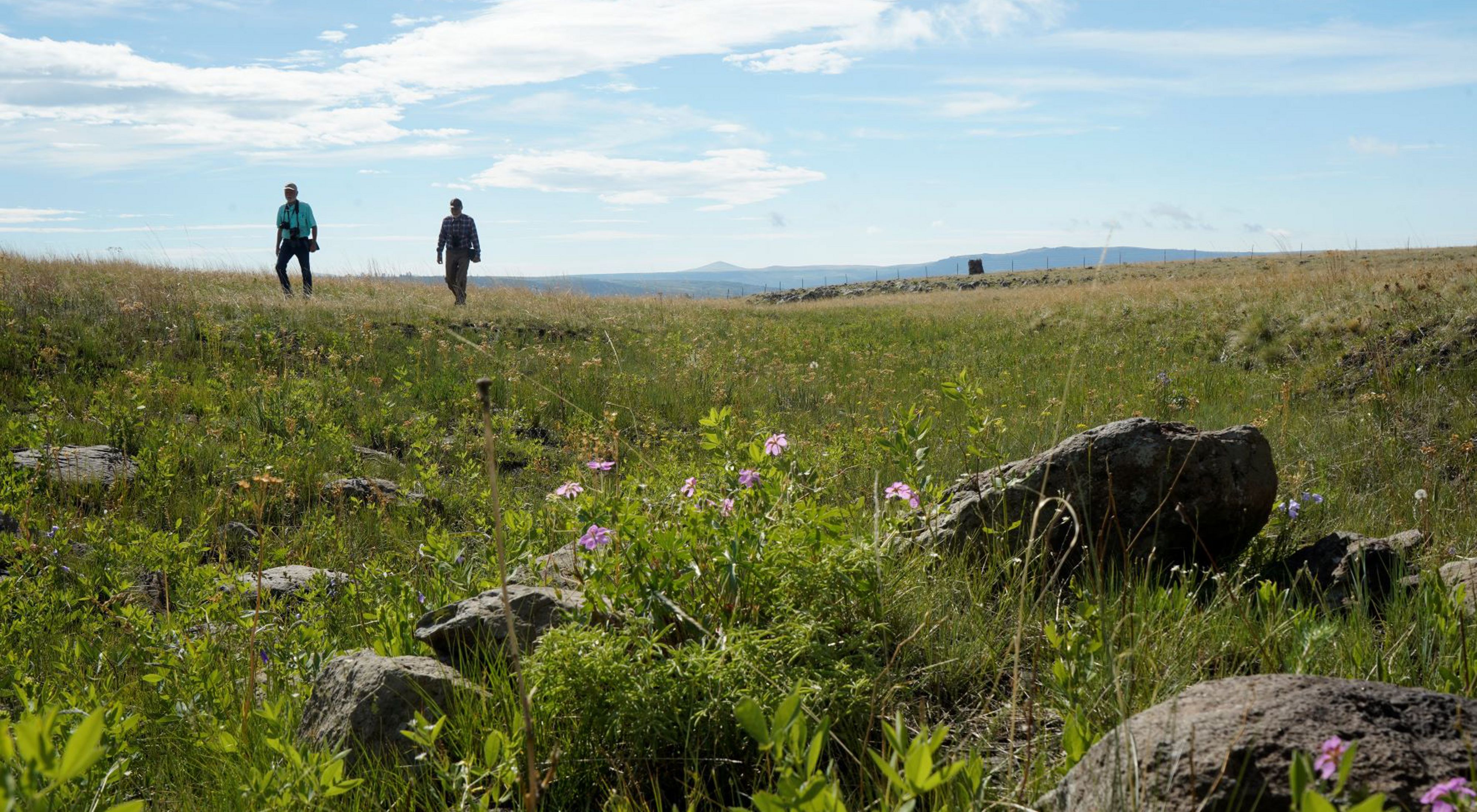 People walking into the distance on grasslands with blue skies.
