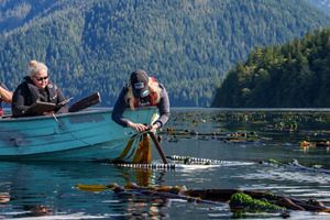 a woman wearing a hat saying 'tlowitsis guardian watchmen' sits in a blue boat and uses metal tools to measure kelp on the water's surface, with dense forest in the background.