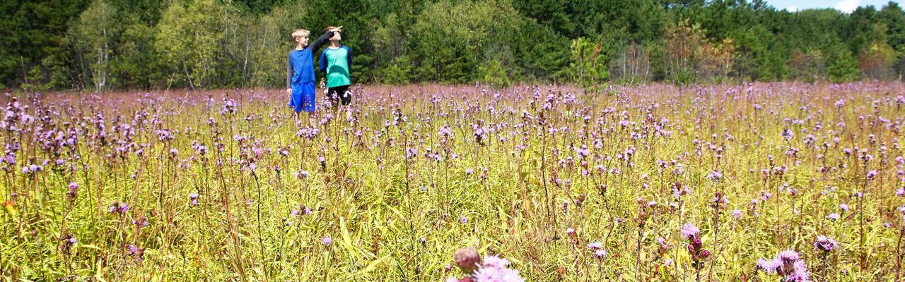 Two young people stand in a field of purple flowers.