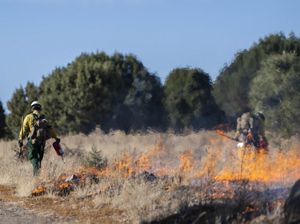 Two people setting fire in grasslands. 