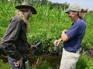 Two people standing in a corn field taking water measurements.