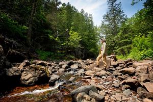 A TNC forester stands on a rocky stream surrounded by green trees.