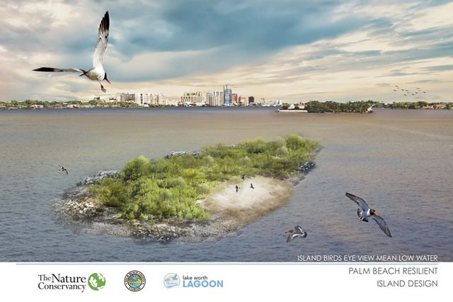 Architectural rendering of Palm Beach Resilient Island at low tide. 