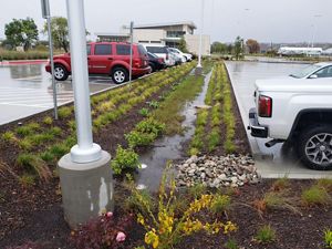 A parking lot bioretention area at the Texas A&M AgriLife Research and Extension Center-Dallas in Dallas, Texas.