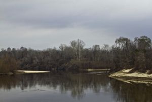 The Leaf and Chickasaway Rivers converge to create the Pascaoula River in Mississippi on the East Gulf Coastal Plain. 