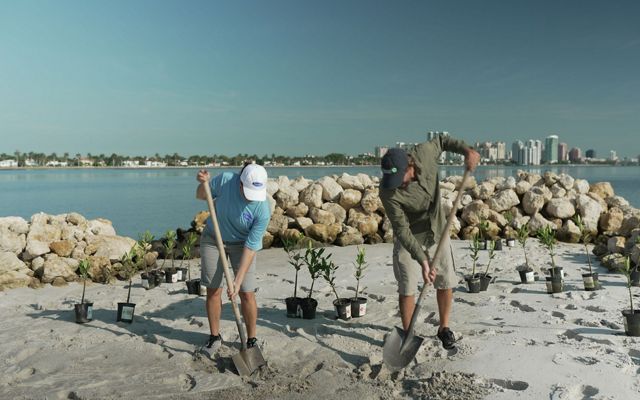 Two volunteers work together to plant mangroves on an island.